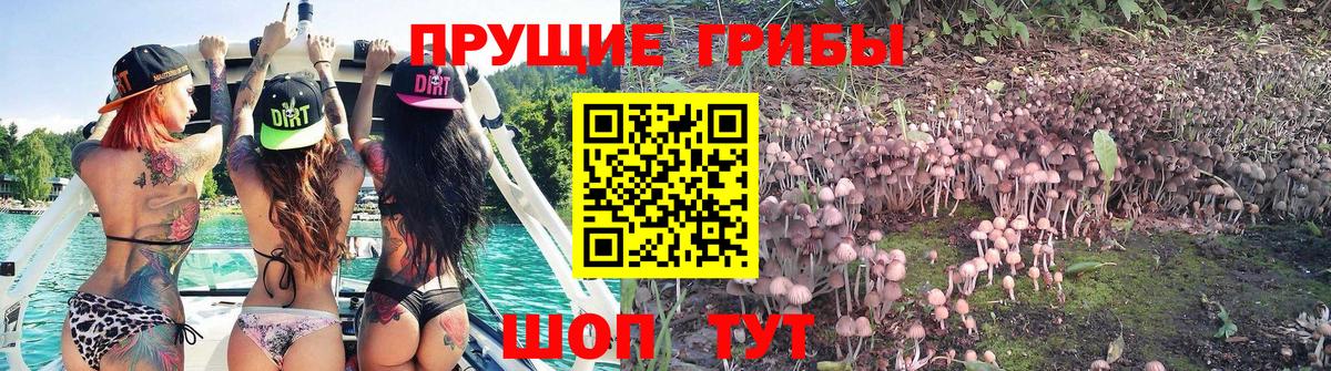 Псилоцибиновые грибы ЛСД Миллерово